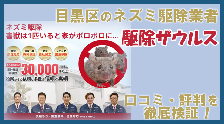 【ネズミ駆除業者・目黒区】目黒駆除ザウルスの口コミ・評判は？本当に信頼できる？