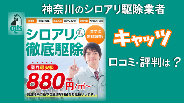 シロアリ駆除業者 神奈川県 【キャッツ】 評判が急上昇中の理由とは？