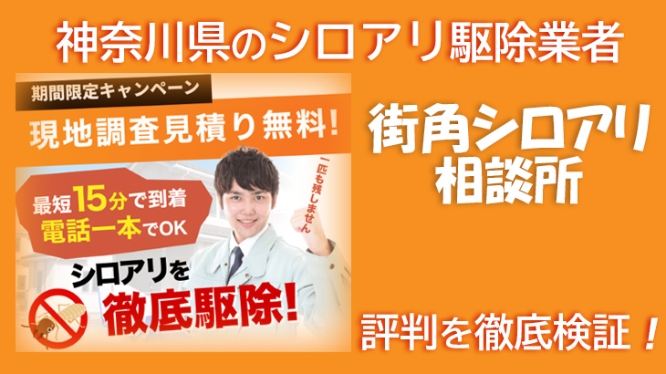 【シロアリ駆除業者・神奈川県】街角シロアリ相談所の評判を徹底検証！本当に信頼できる？